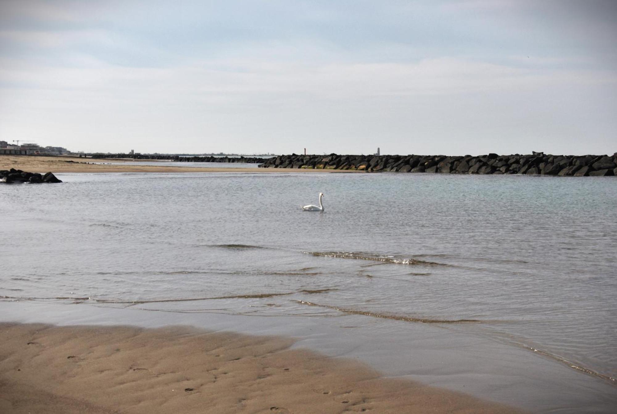 Alloggio Di Giorgia Fiumicino Exteriér fotografie