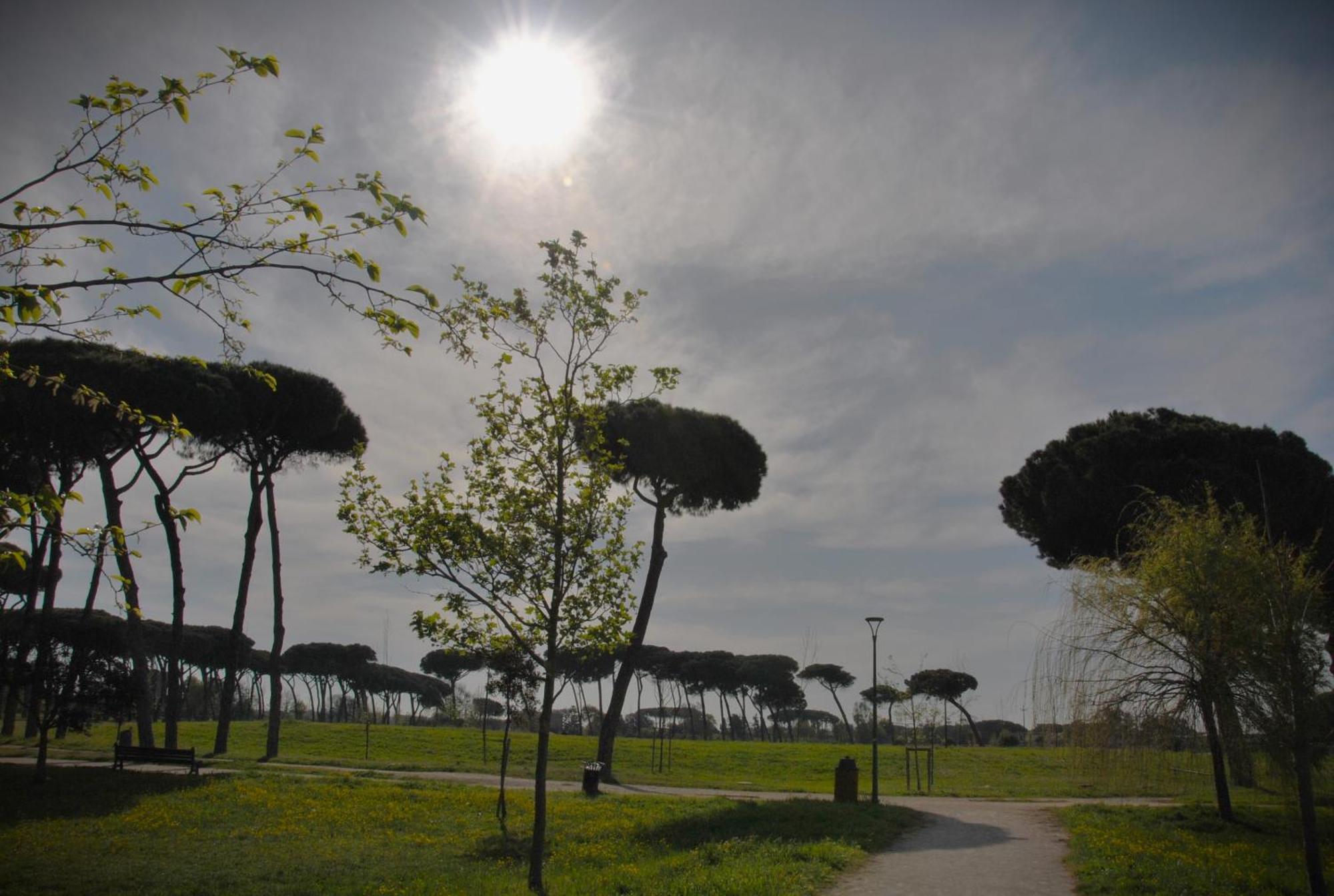 Alloggio Di Giorgia Fiumicino Exteriér fotografie