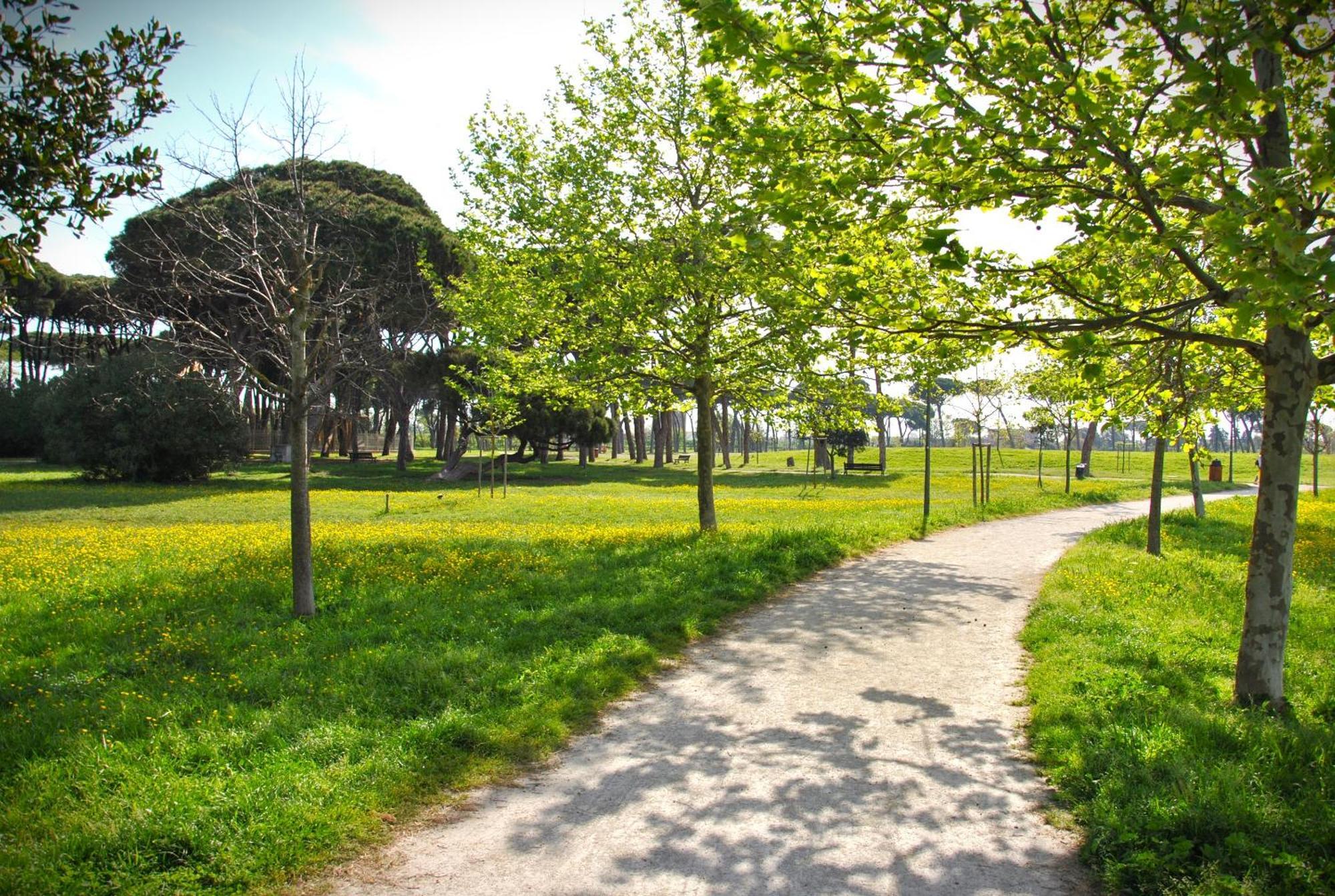 Alloggio Di Giorgia Fiumicino Exteriér fotografie